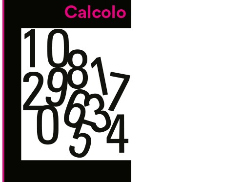 Manuale di calcolo professionale con e-book