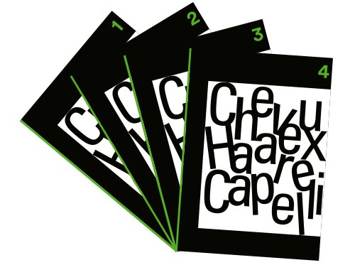 Fascicoli 1 - 4 con e-book